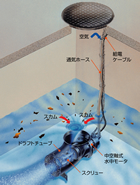 悪臭発生防止装置 ビルピットエース